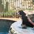 Roxane Longano's profile image