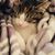 Wendi Myers-Rossi's profile image