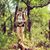 Amie Slevin's profile image