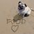 Robin Yanchitis's profile image