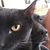 Aaron S Tabbert's profile image