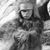 Alexander Barboa-Reidy's profile image