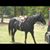 Karen Jo Rachal's profile image
