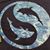 Amy McGhee Albers's profile image