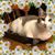 Daisy Mae Guillory Cormier's profile image