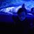 Laura Spaulding-Weaver's profile image