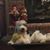 Karen Blakely Hartson's profile image