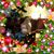 Katie Siuda's profile image