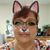 Amy Pennington Springs's profile image