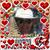 Barbara Kressin's profile image