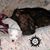 B.J. Meloche's profile image