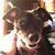 Lori Zukerman's profile image