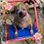 Penny Rossi's profile image