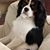 Steven McKeand's profile image