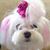Leslieann Farrell's profile image