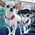Javier Rivera's profile image