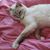 Bernadette Annette's profile image