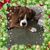Shelby L. McGunnigle's profile image