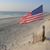 Laura Metzger Street's profile image