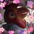Michelle Edsall's profile image