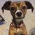 Crystal Higgins Schmidt's profile image