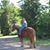 Lisa Jerrier's profile image