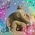Christina Olliges's profile image