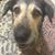 Becky Nevers Myers's profile image