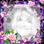 Sheila E. Kersey Seale's profile image