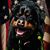 Linda Tayne's profile image