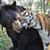 Leslie E Gladney's profile image