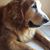 Wendy Horwitz Ketcham's profile image