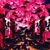 Cherish Spindler's profile image