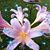 Tammy F Hempelmann Mielke's profile image