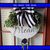 Stacey Diane Means's profile image