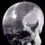 Alfredo Cuellar's profile image