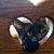 Damion Sillaman's profile image