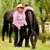 Suzy Anderson's profile image
