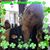 Nancy Wadley's profile image