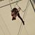 Lisa Smith's profile image