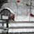 Lorrie Medlock's profile image