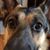 Dion Decker's profile image