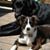 KathyLynn McDonald Johnston's profile image