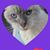 Robin Frederick Bauman's profile image