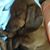 Tracy Cox's profile image