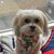 MJ Coutu's profile image