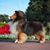 Cathy Smith's profile image