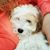 Paula Jackson's profile image