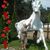 Elizabeth Beko's profile image