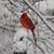 Christine Donlin Mansfield's profile image